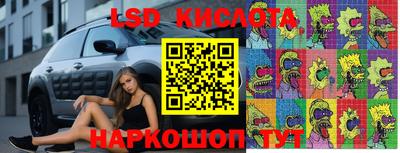 герыч Кингисепп