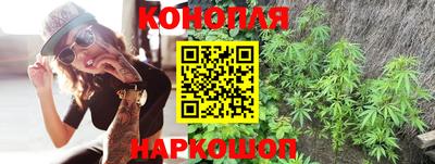 герыч Кингисепп