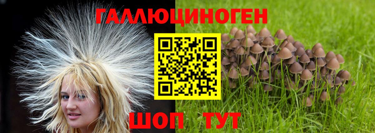 Галлюциногенные грибы Cubensis Красногорск