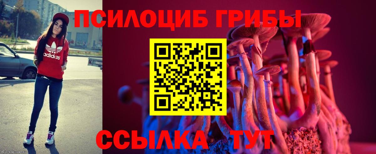 Галлюциногенные грибы MAGIC MUSHROOMS  Вход с VPN  Красногорск 